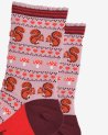 Chaussettes avec des écureuils et des détails rouges