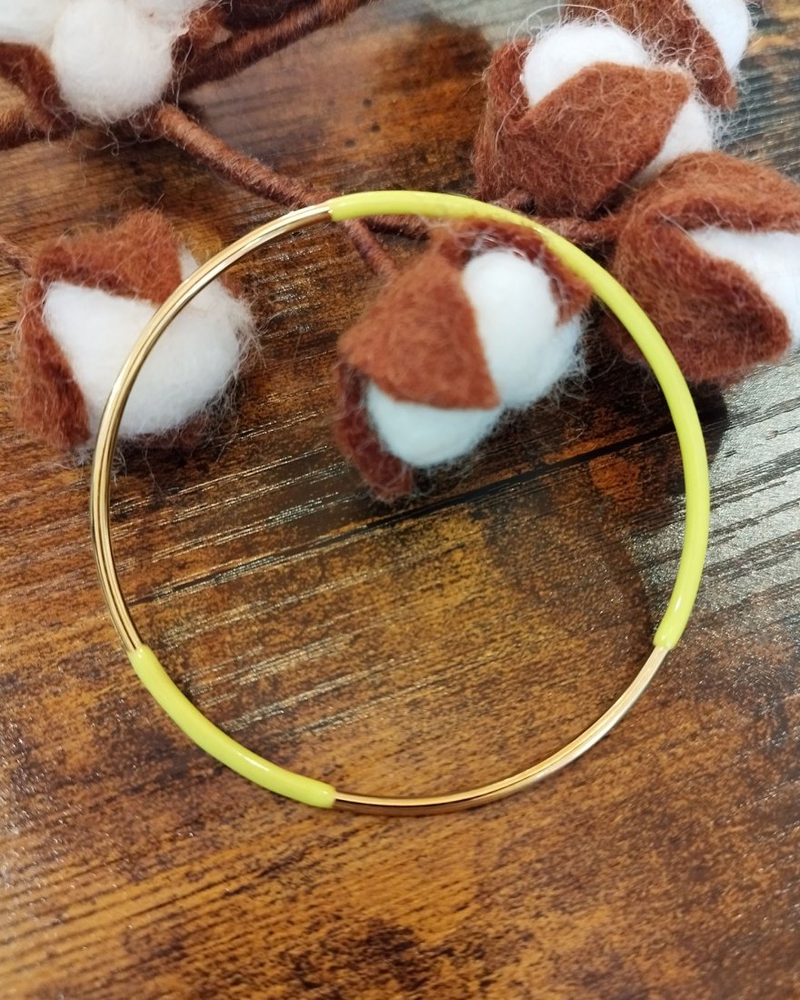 Jonc fin bicolore en acier inoxydable