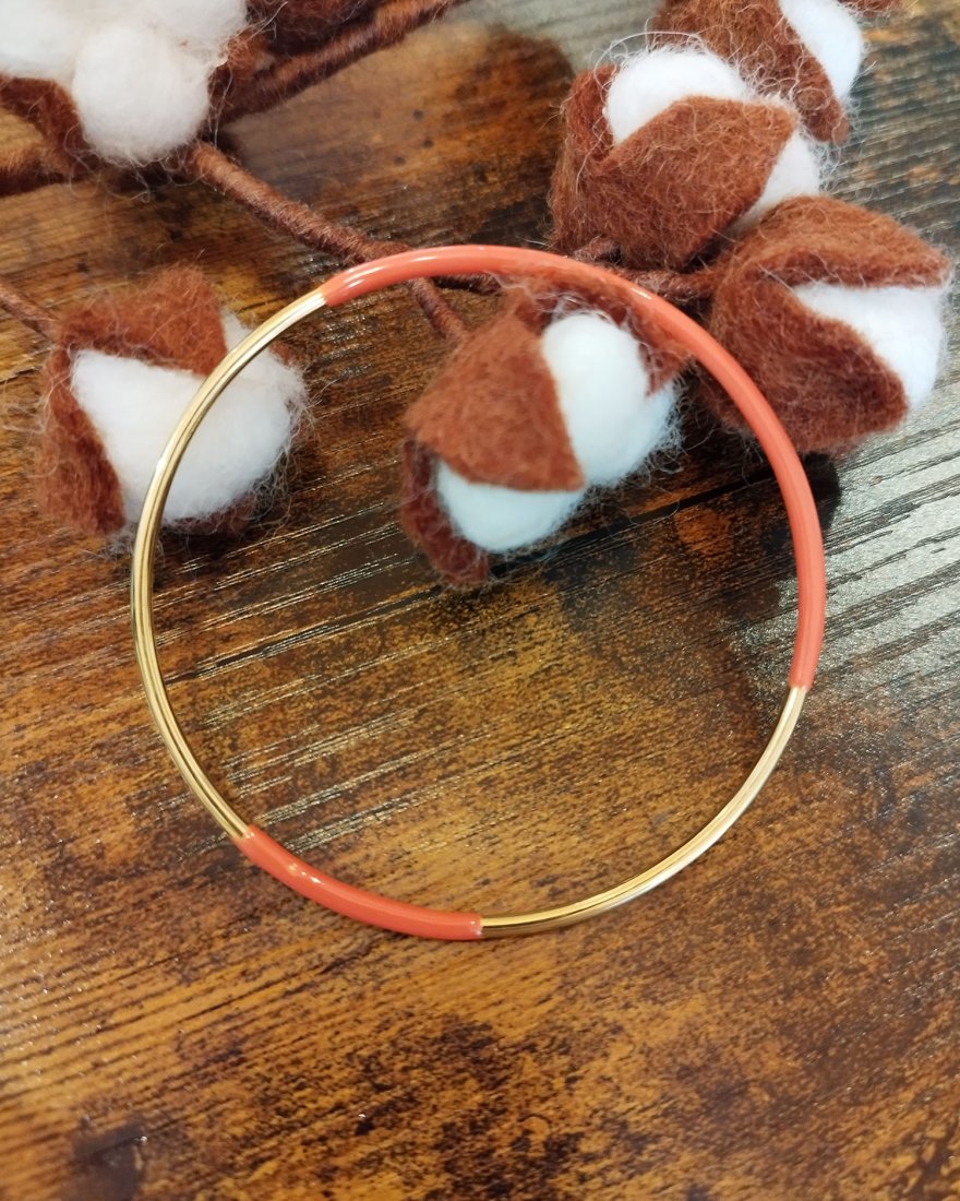 Jonc fin bicolore en acier inoxydable