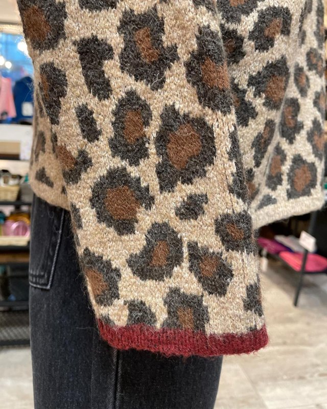 Pull léopard avec noeud bordeaux au dos