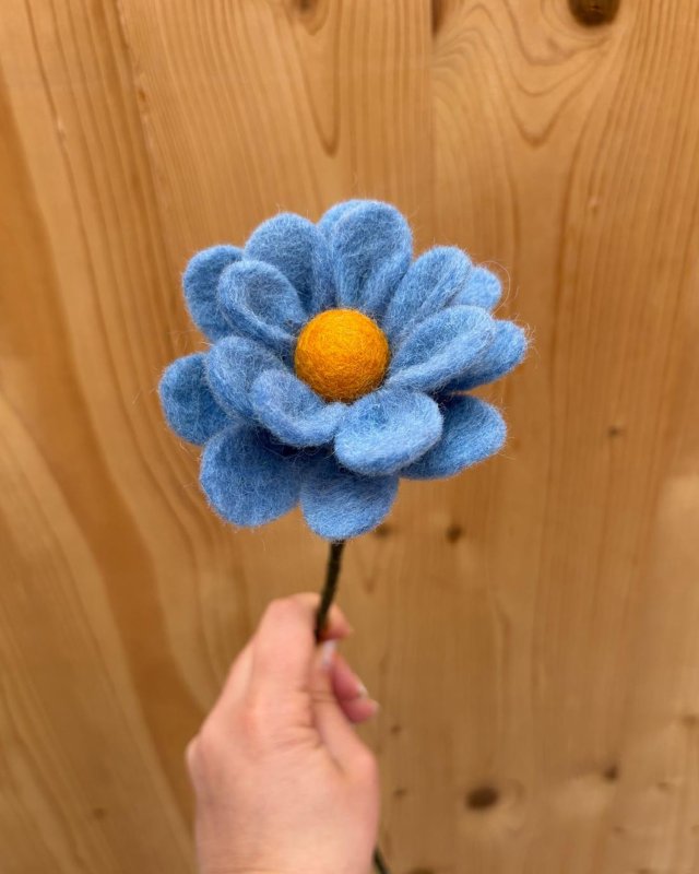 Anémone décorative bleue en...