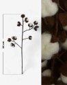 Branche décorative de fleurs de coton en laine