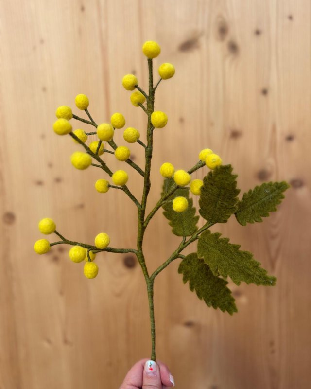 Branche de mimosa en laine