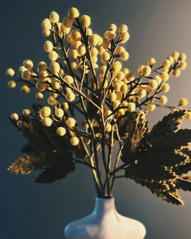 Branche de mimosa en laine