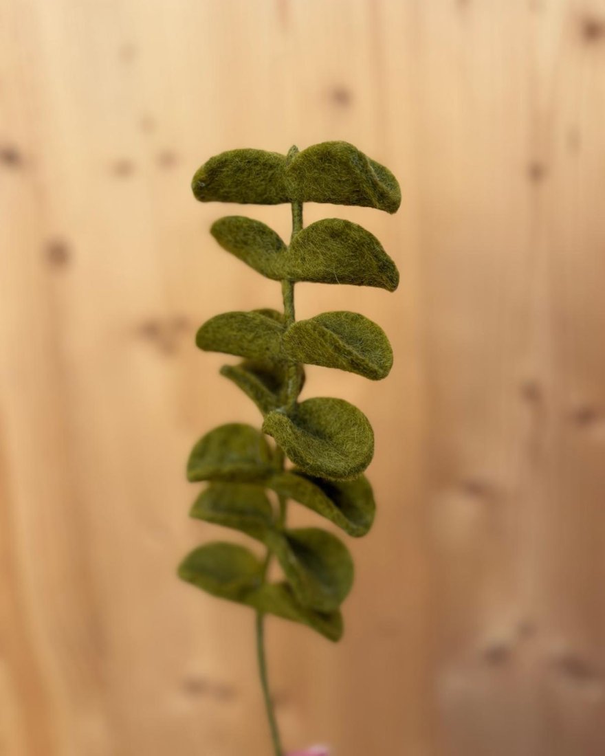 Branche d'eucalyptus vert en laine feutrée
