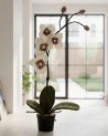 Orchidée blanche en feutrine dans un petit pot
