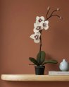 Orchidée blanche en feutrine dans un petit pot