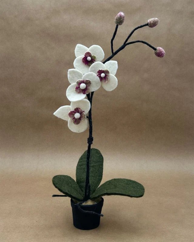 Orchidée blanche en feutrine dans un petit pot