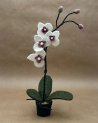 Orchidée blanche en feutrine dans un petit pot