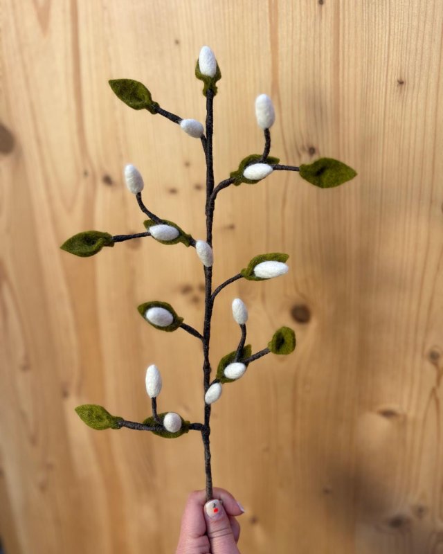 Branche de bourgeons blancs...