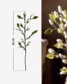Branche de bourgeons blancs en laine