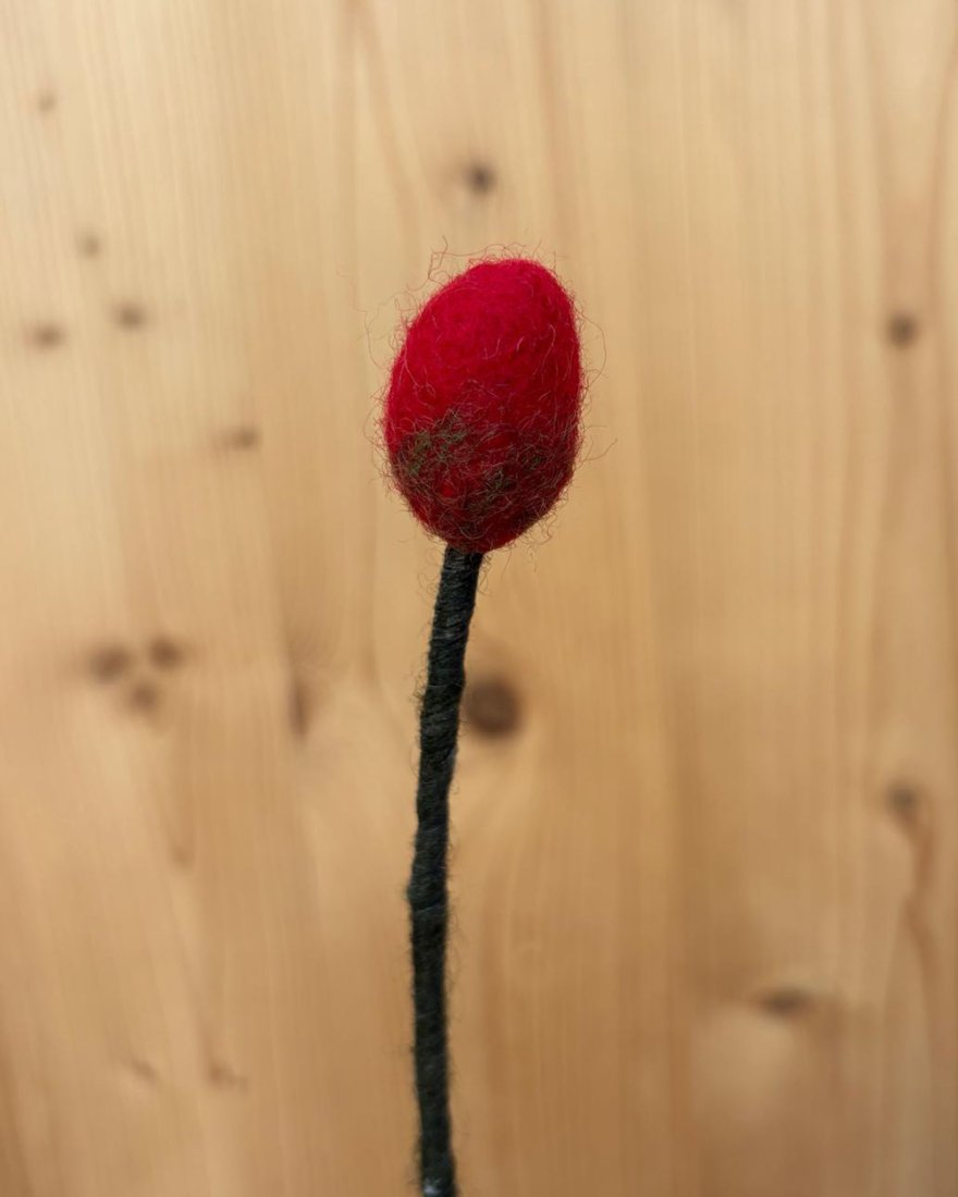 Branche de bourgeon de coquelicot en laine