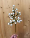 Branche de gypsophile décorative en feutrine
