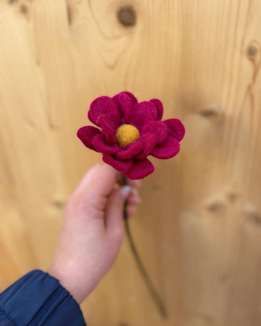 Anémone décorative fuchsia en laine feutrée