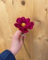 Anémone décorative fuchsia en laine feutrée