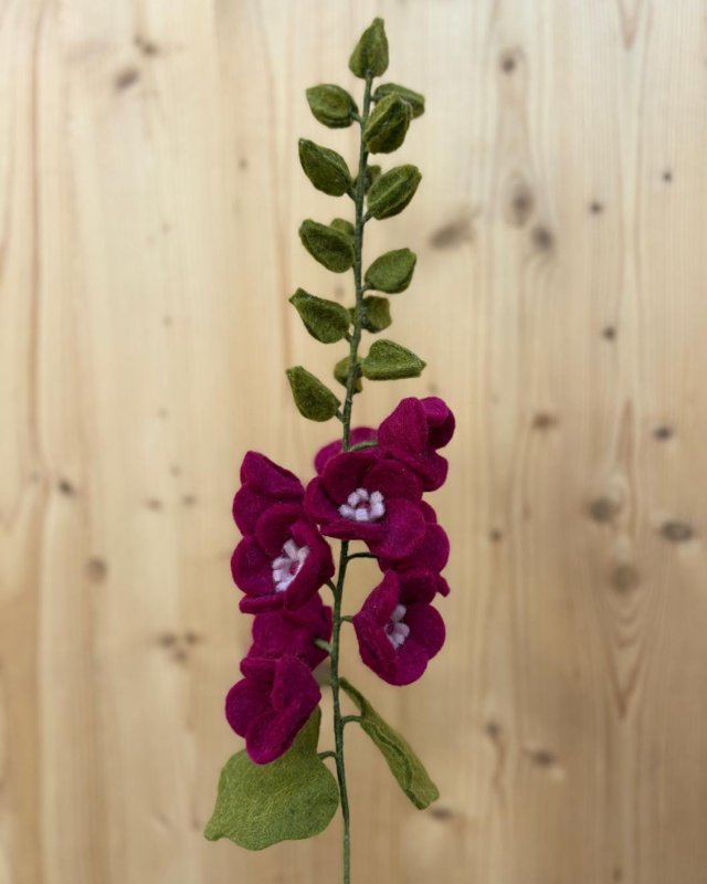 Rose trémière décorative...