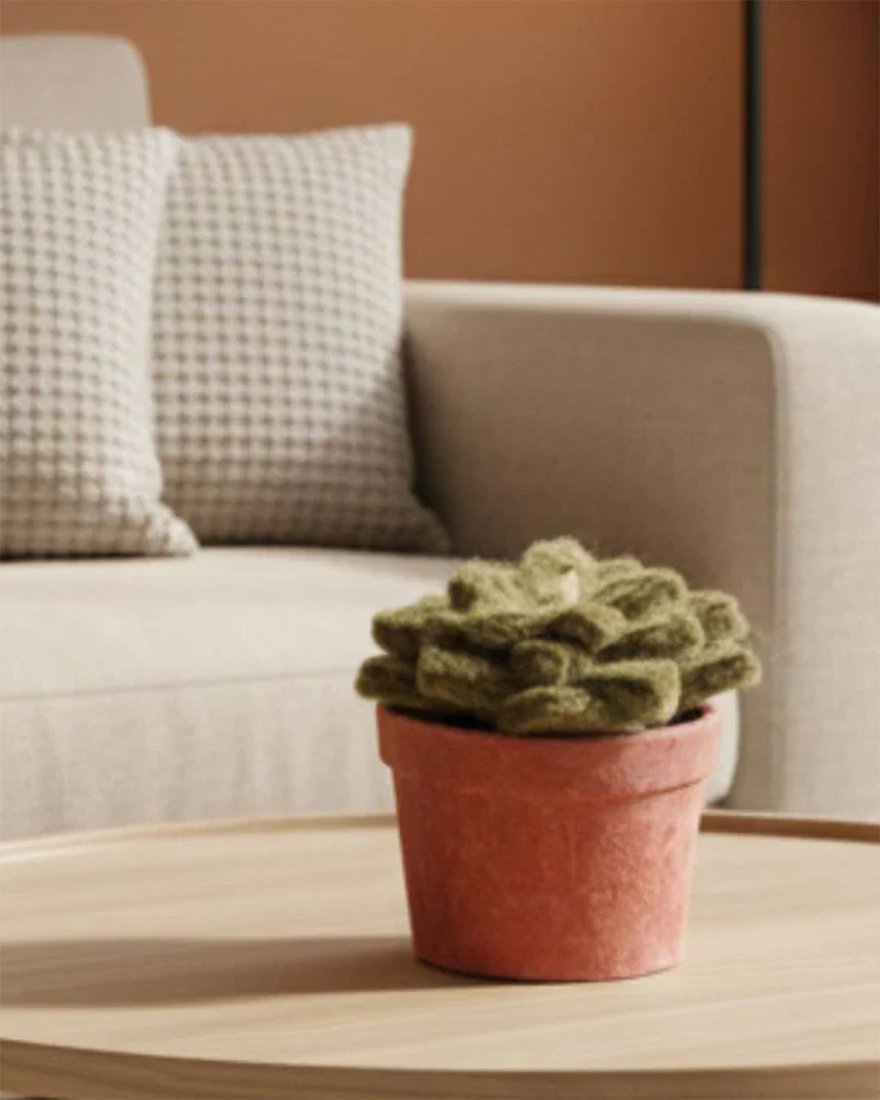 Petite succulente en feutrine avec son pot en papier