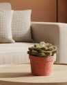Petite succulente en feutrine avec son pot en papier
