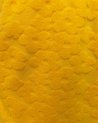 Short en éponge jaune à motif fleuri
