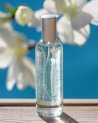 Parfum d'ambiance Aloha de Lothantique