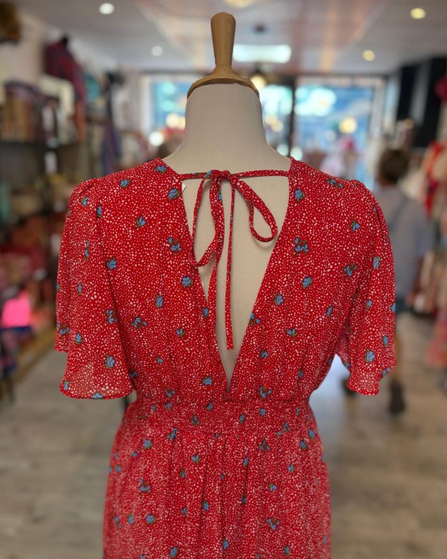 Robe rouge à petites fleurs bleues