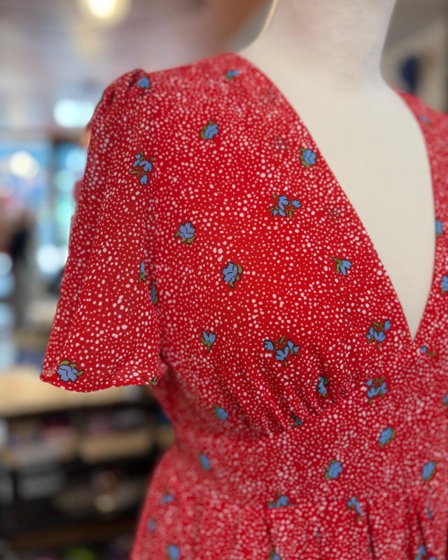 Robe rouge à petites fleurs bleues